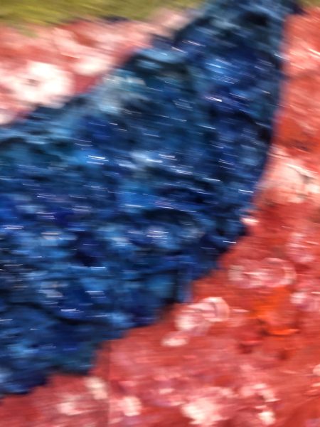 No Flowers on Mayflower - Detail 04